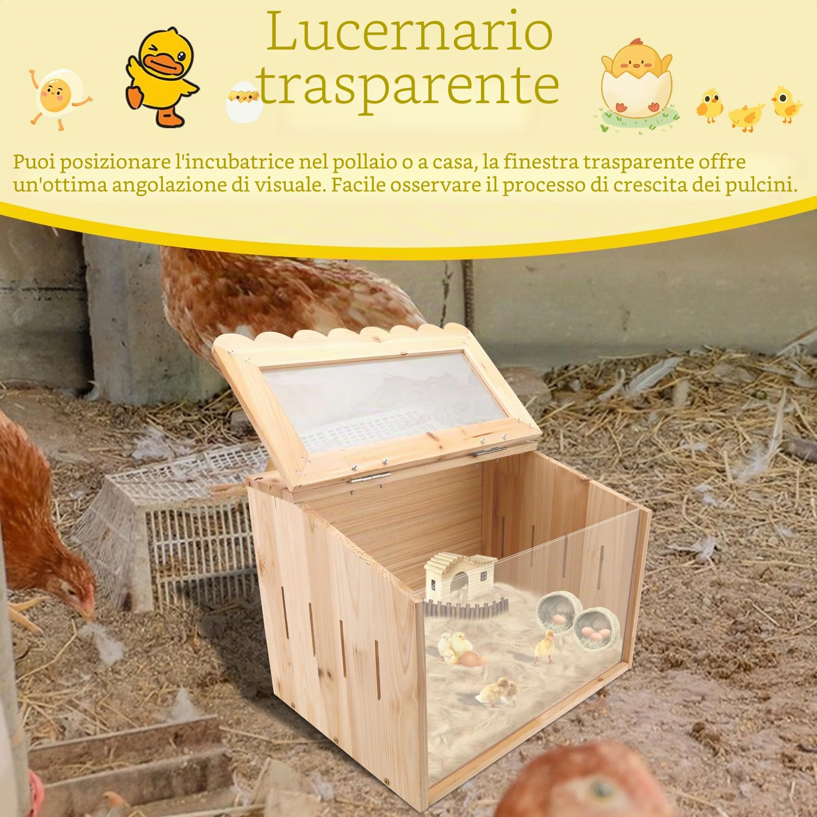 Grande gabbia per polli, 40 x 30 x 30 cm, in legno per pulcini, recinto per animali con copertura per pulcini, criceti, tartarughe, rettili