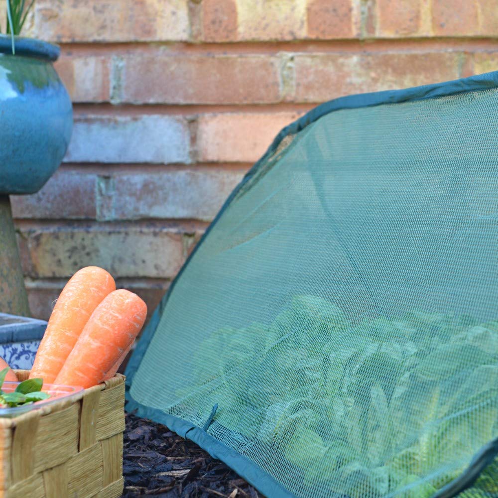 GardenSkill Mini-Gewächshaus, Tunnel, Vogelschutz, feinmaschiges Netz, Pop-Up-Wachstumszelt, Vogelschutz, Insektenschutz, für Quadrate, Gemüsebeet, Blumenkasten (100 x 40 cm, 1 Stück)