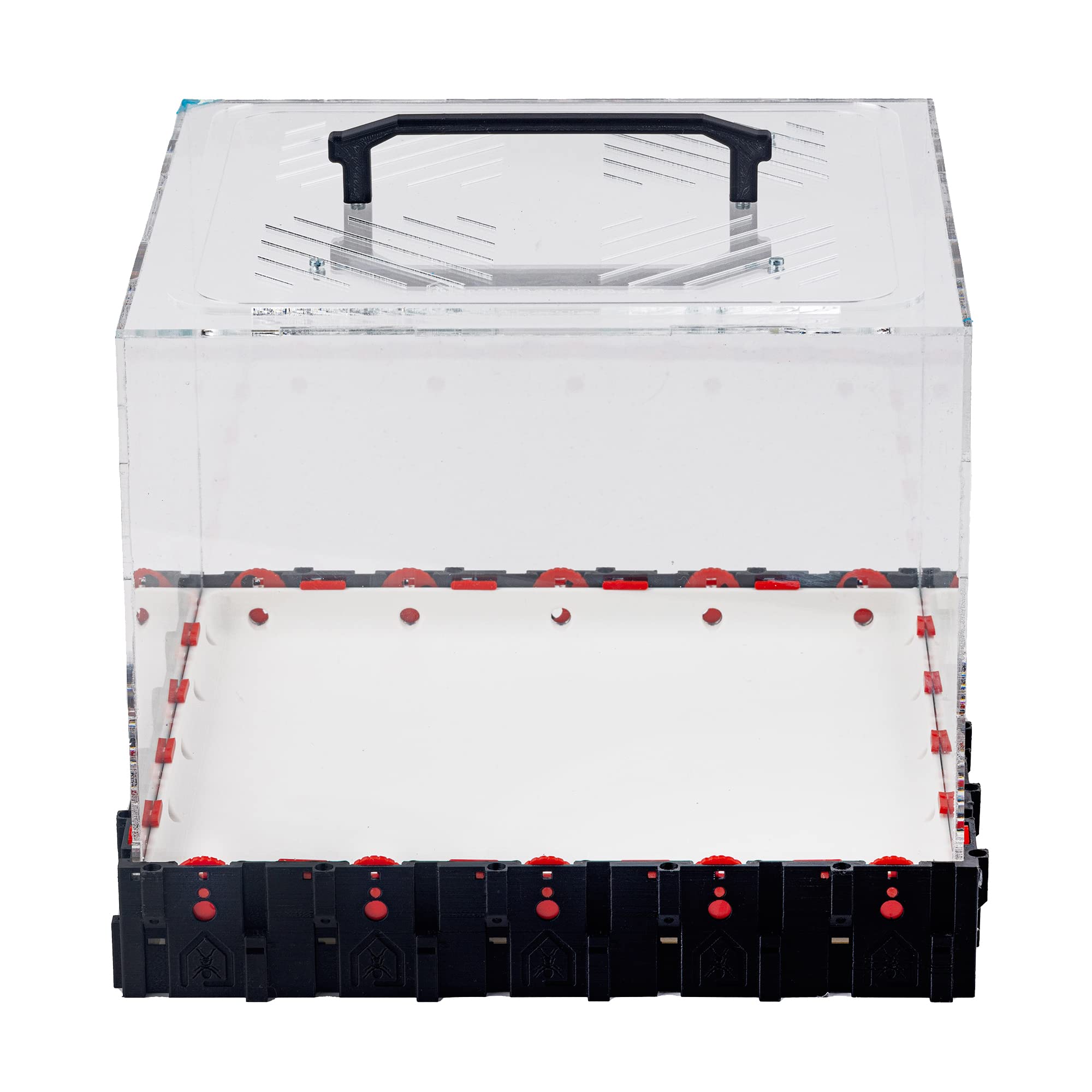 Anthouse.es - 3D Modular Anthill Foraging Box - QBIK Giga Foraging Box Model - 30.78x30.78x16.70 cm - Ant Colonies - Terrarium