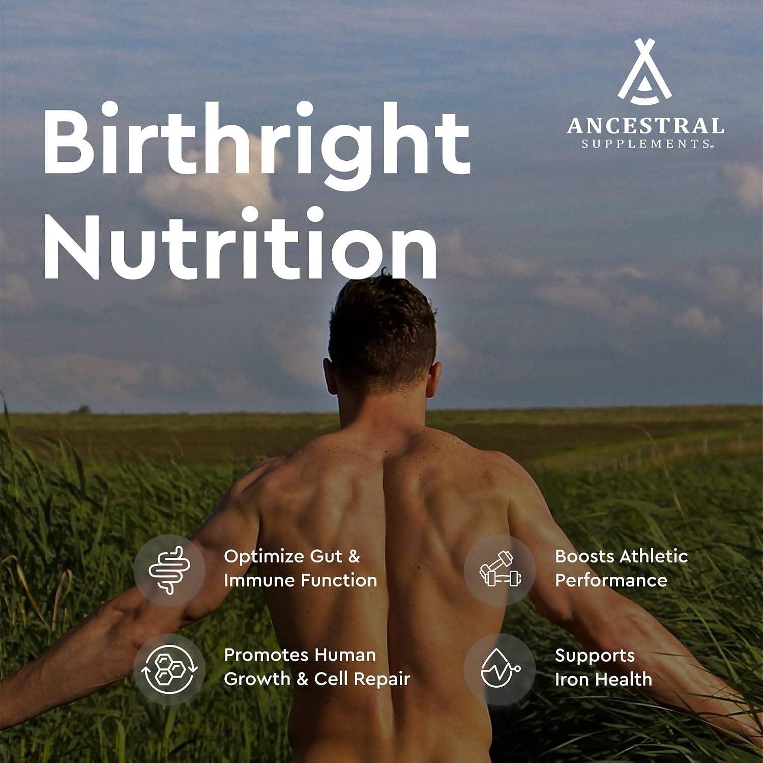 Ancestral Supplements Grass Fed Beef Colostrum Supplement, 3000 mg, Offers Immune Support and Promotes Gut Health, Athletic Performance, Healthy Iron Levels, Growth and Repair, Non-GMO, 180 Capsules