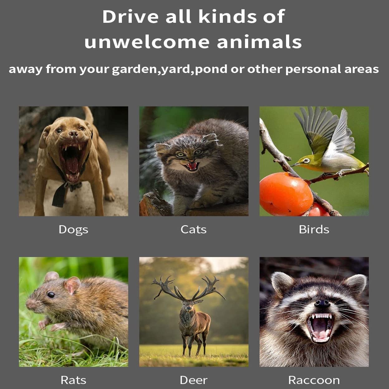 Repellente per Gatti Da Giardino, Ultrasuoni Solare Repeller Impermeabile, Repellente per Animali Ad Energia Solare per Uccelli, Cani, Gatti, Topi, Volpi