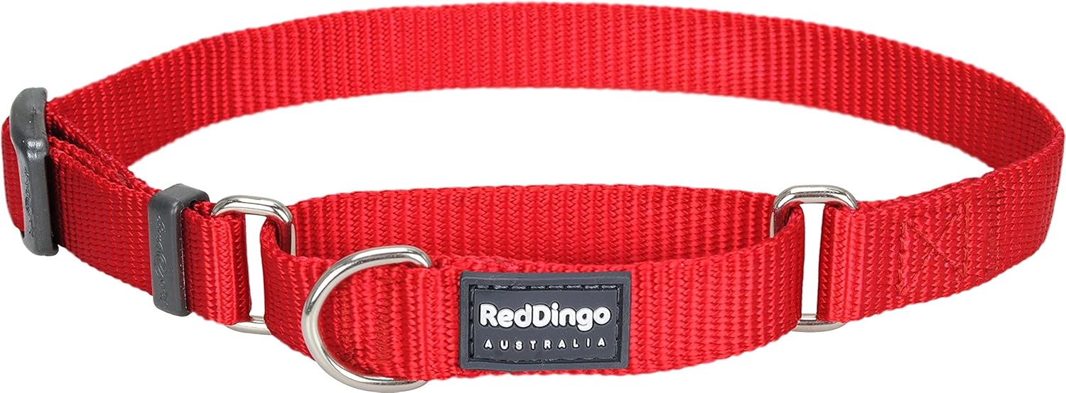Red Dingo Classic Martingale Dog Collar, Large, Red Pet