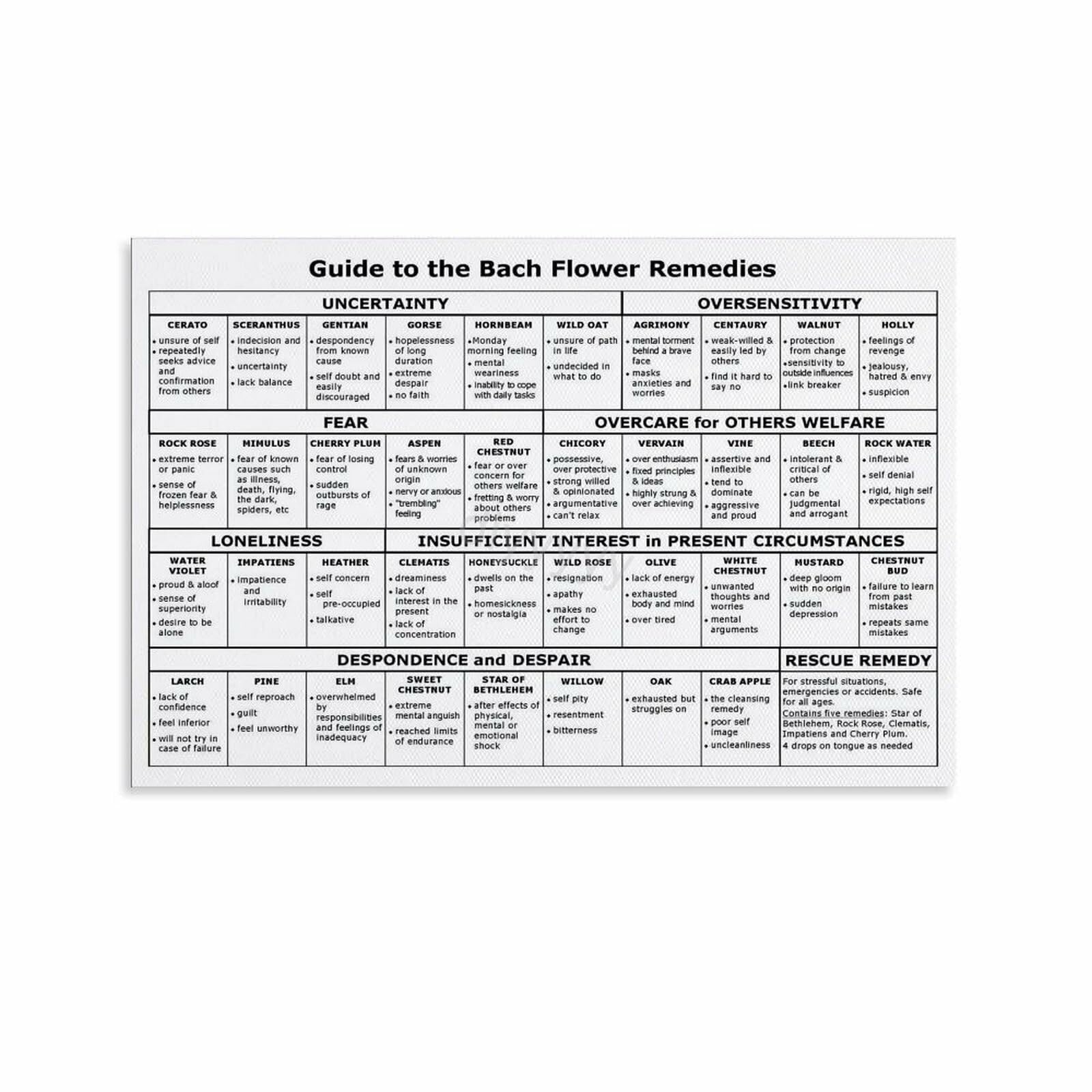 LLBOGRGGN Flower Remedies Chart Guide to Flower Essences and Their Properties Emotional Support Alternative Medicine Poster(Framed,08x12inch(20x30cm))