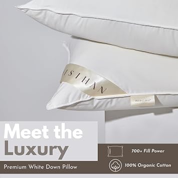 Premium Goose Down Pillows Queen Size - 700+ Fill Power, Down Pillow for Side Sleeper, 100% Cotton 500 TC Cover Down Pillow Queen Size Firm Pillow 1 Pack 20x30