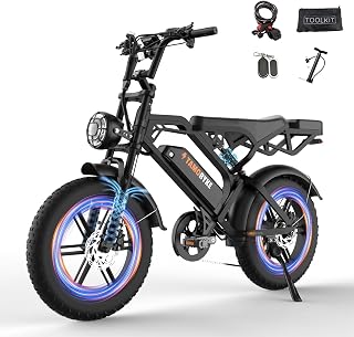 V20/V29 Series Electric Bike for Adults, 1500W/2000W Motor (Peak), 30MPH/32MPH Electric Dirt Ebike,20'' Fat Tire E-bike with 48V 15.6AH Battery,Full Suspension Hydraulic Brakes, Snow, Sand, Road
