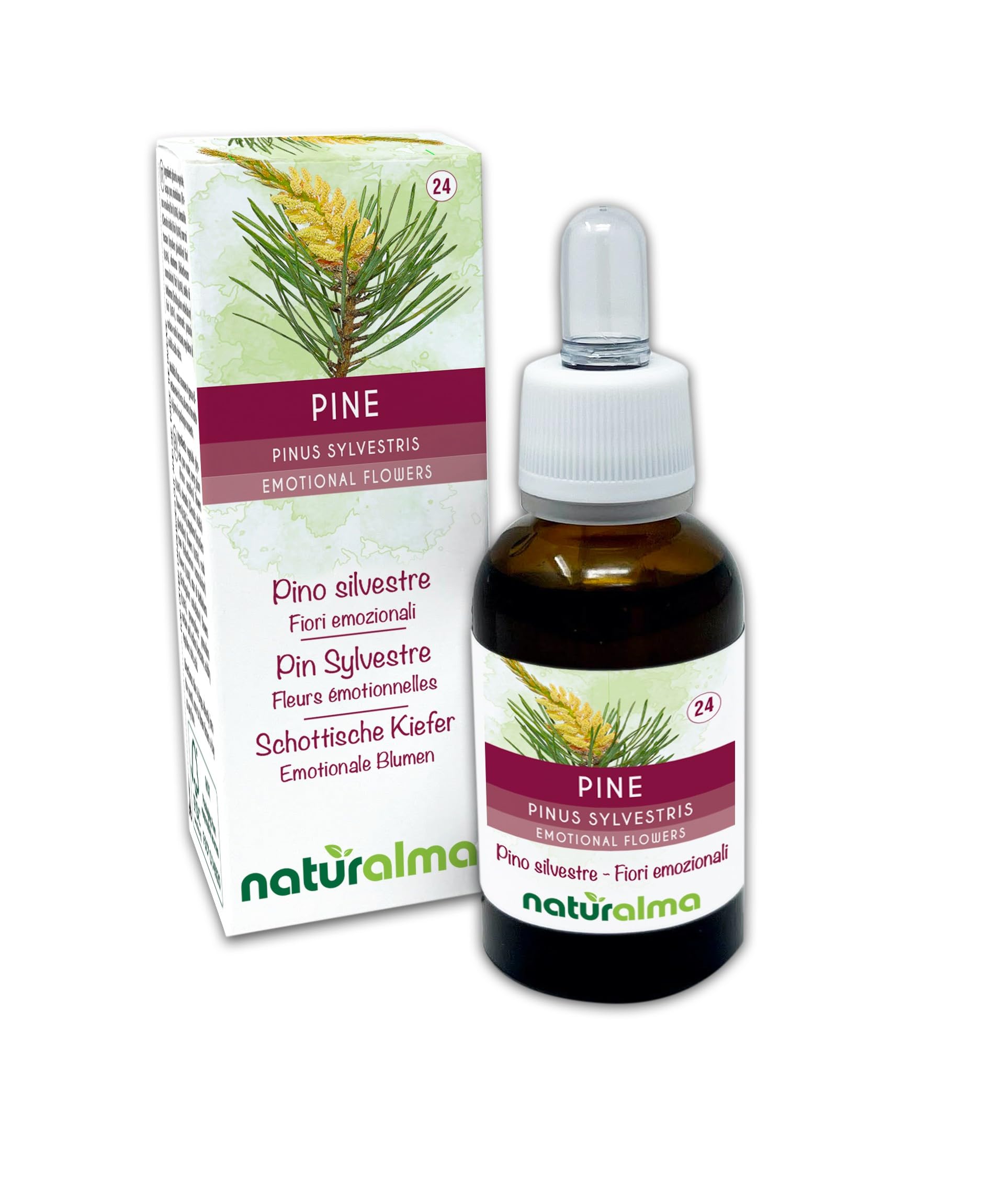 Pine o Pino silvestre (Pinus sylvestris) Flores emocionales o Flores de Bach Naturalma - Gotas 30 ml - Extracto líquido sin alcohol - Esencias florales - Vegano