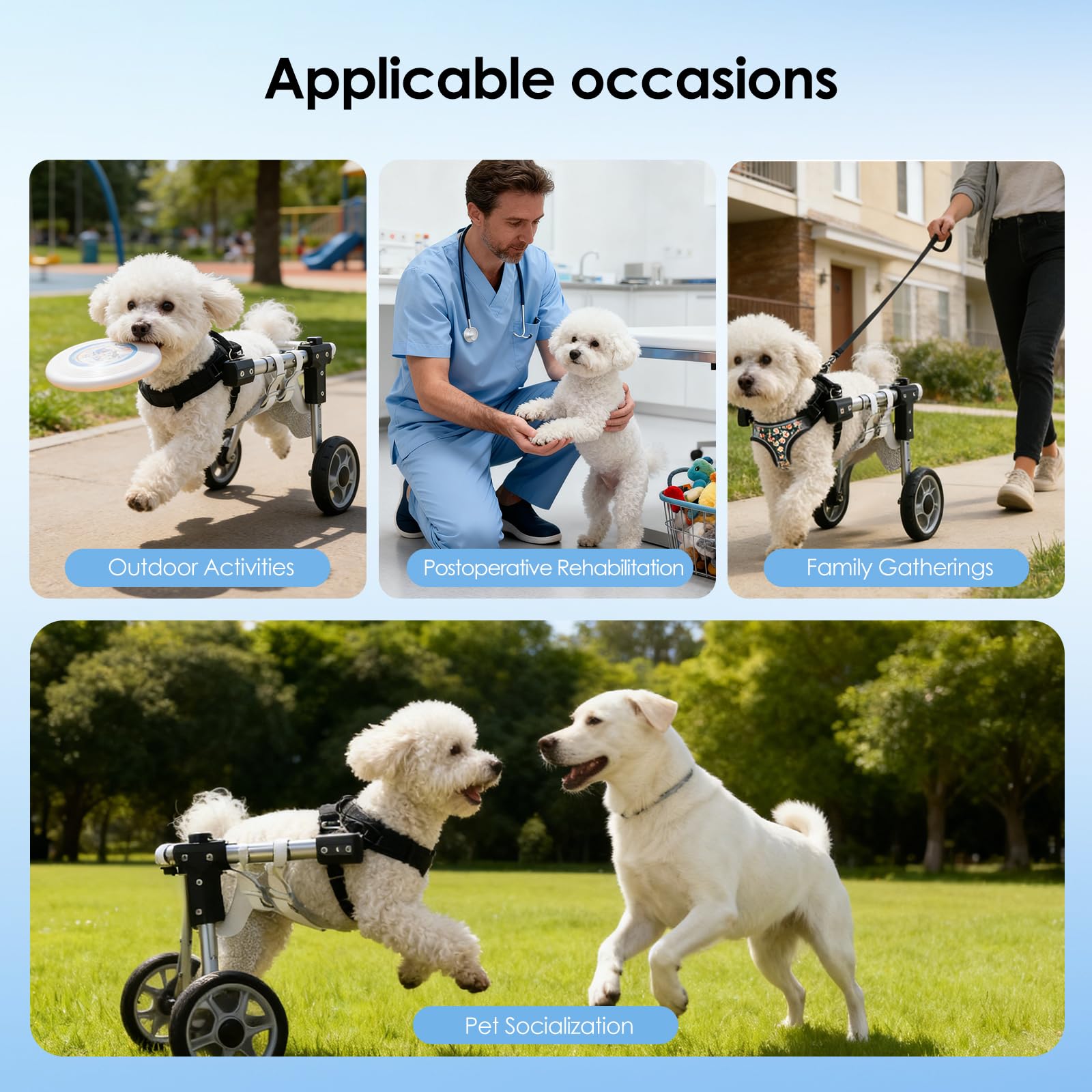 Sedia a rotelle per cani per gambe posteriori, carrello regolabile per riabilitazione a 2 ruote, in alluminio e rete di nylon, con custodia e corda per animali domestici paralizzati