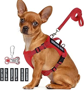 Service Dog Vest for Small Breed Dogs with ID Tag Lightweight Puppy Harness and Leash Set with 6 PCS Patches, Ideal Service Animal Vest for Training, Complete Service Dog Gear, Red, XS