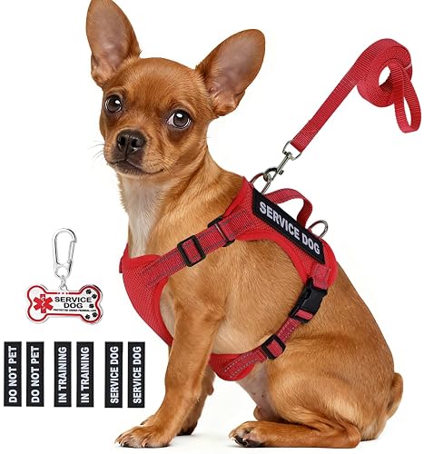 Service Dog Vest for Small Breed Dogs with ID Tag – Lightweight Puppy Harness and Leash Set with 6 PCS Patches, Ideal Service Animal Vest for Training, Complete Service Dog Gear, Red, XS