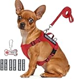 Service Dog Vest for Small Breed Dogs with ID Tag – Lightweight Puppy Harness and Leash Set with 6 PCS Patches, Ideal Service Animal Vest for Training, Complete Service Dog Gear, Red, S