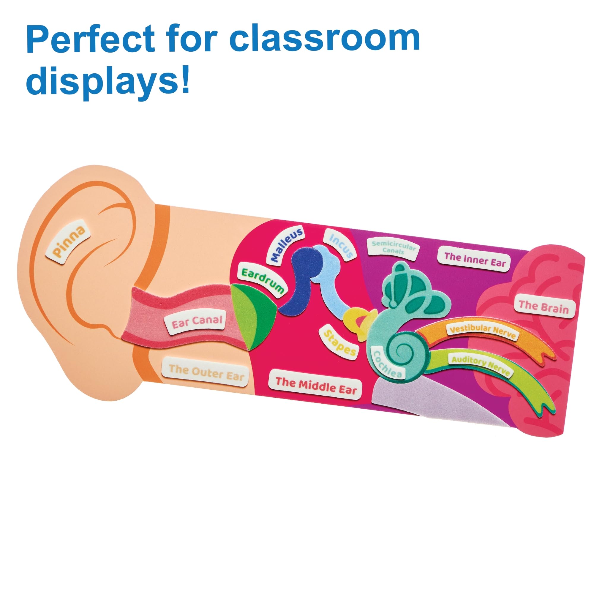 View 5