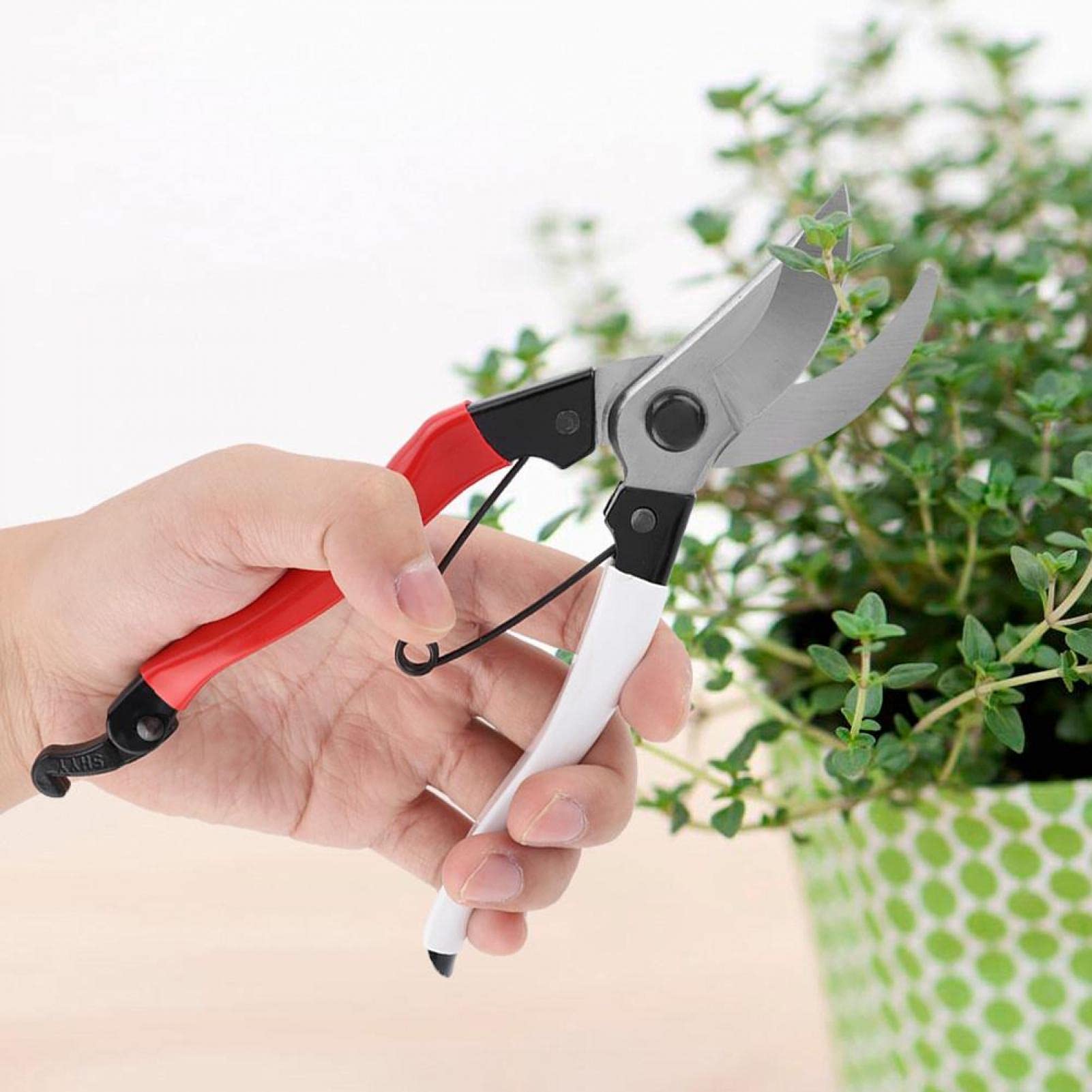 Forbici da potatura, cesoie da Giardino, Utensili manuali per la casa, Forbici per potatura di Piante e Giardini, Utensili da Taglio, utilizzati per la Raccolta di Frutta