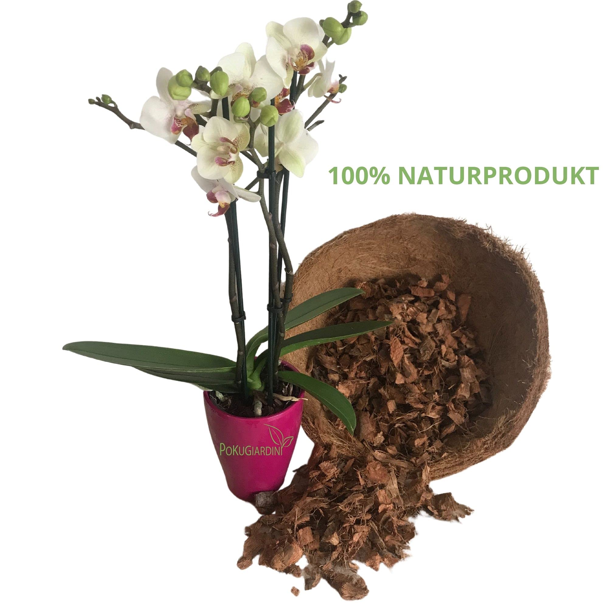 Écorce Pour Orchidées Moyennes 3L - Substrat Organique Naturel - Granulométrie 15-25mm