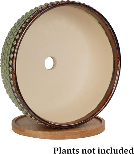 Miniatura 6 de Maceta de cerámica para suculentas poco profundas de 8 pulgadas con agujero de drenaje y platillo con cuentas de cerámica para plantas de interior,