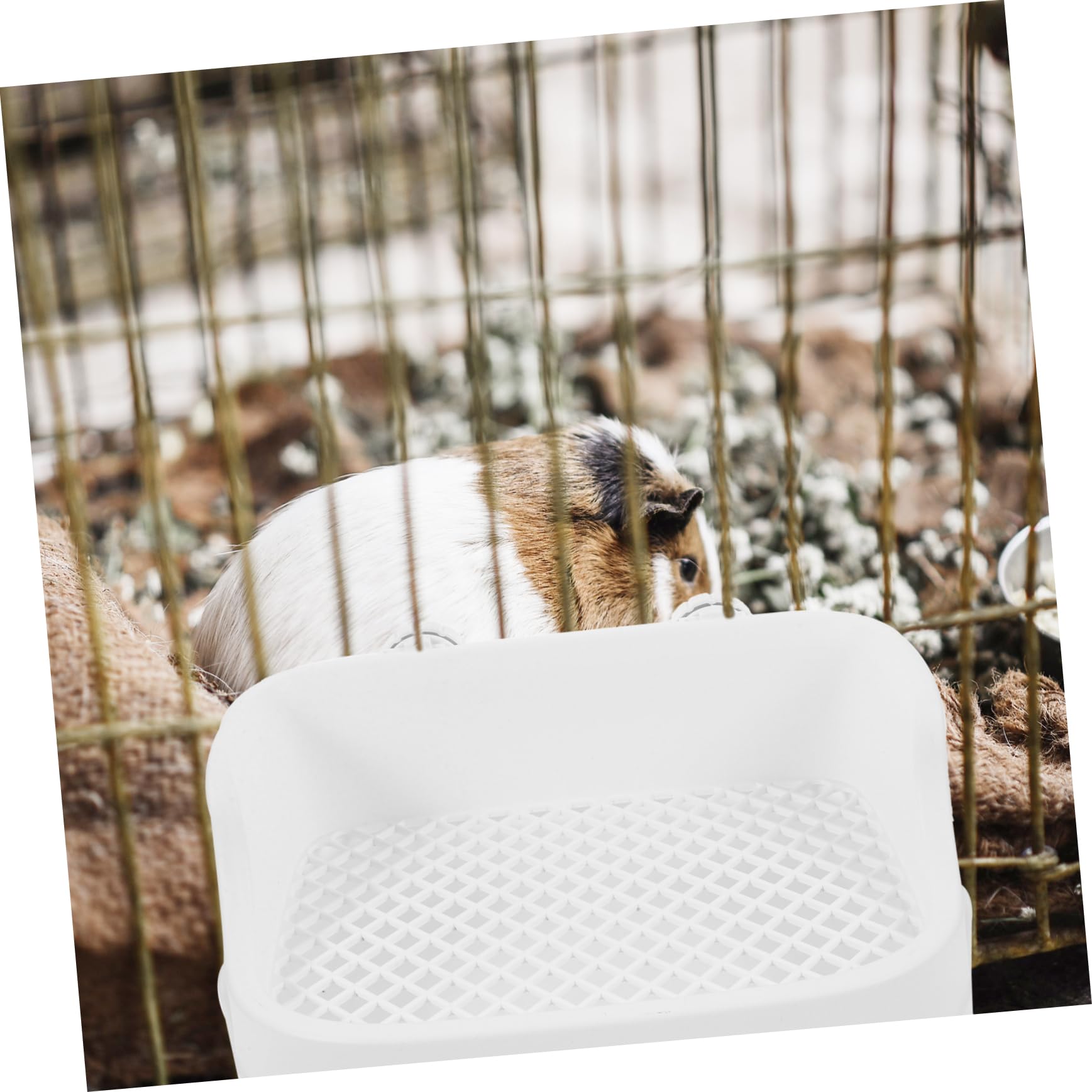 Toilette Einfache Kunststoff Kaninchen mit Rechteckigem aus Design Herausnehmbarem Boden Stilvolle Reinigung zu Haustier Toilette für Hause für Hamster und Kleine Tiere