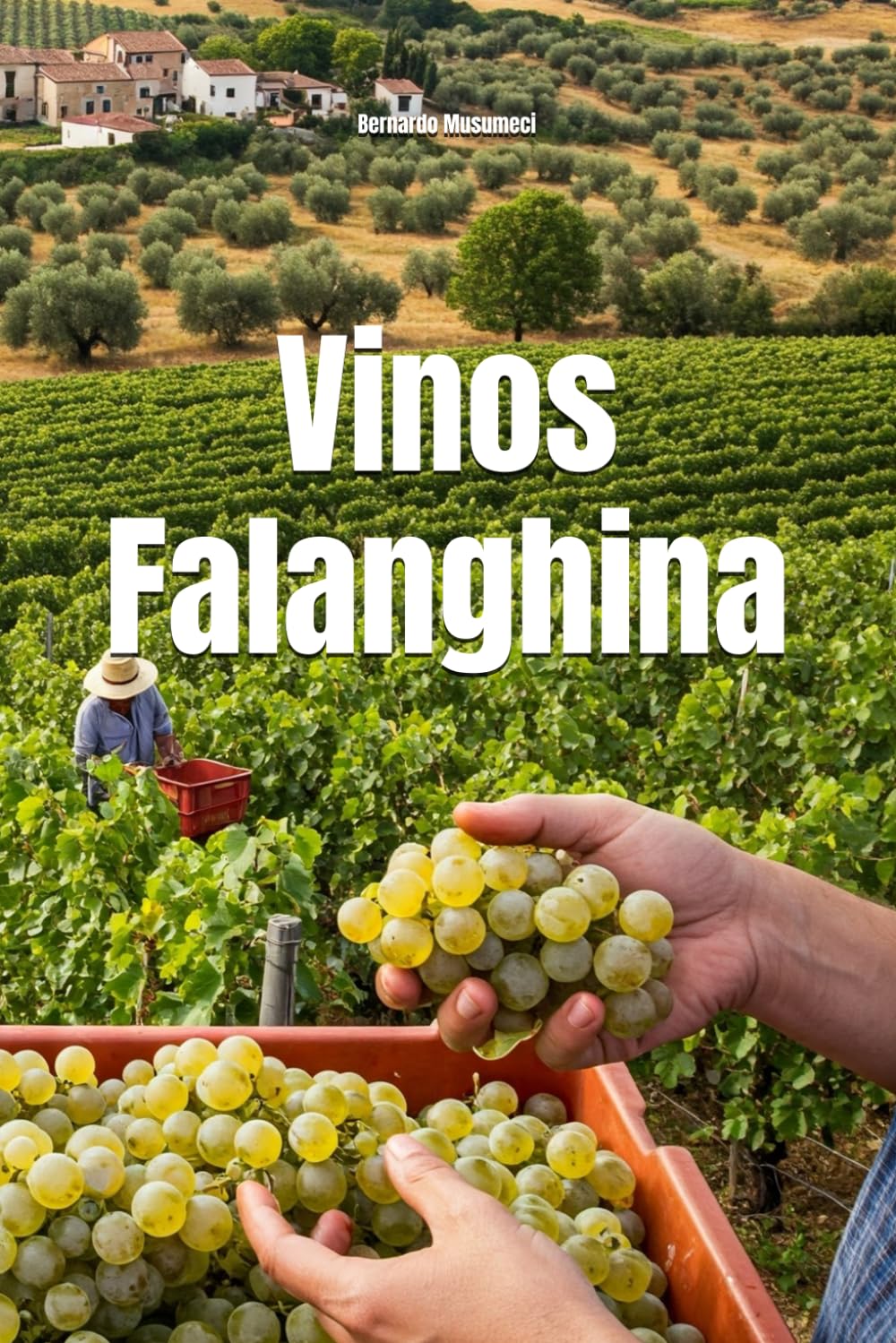 Vinos Falanghina (Wines of the World: Italy)