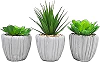 Vista 1 de Ebros Gift Juego de 3 plantas suculentas de helecho botánico artificiales realistas en macetas texturizadas de cemento gris, plantas sintéticas