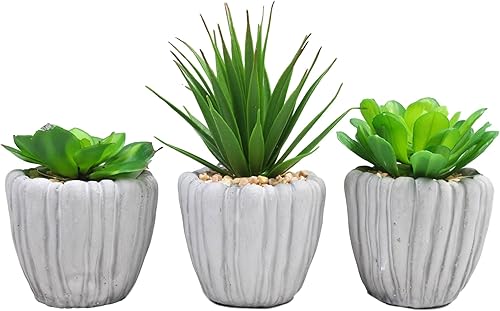 Ebros Gift Juego de 3 plantas suculentas de helecho botánico artificiales realistas en macetas texturizadas de cemento gris, plantas sintéticas,
