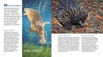 Amazon | Encyclopedia of Australian Animals | Robinson