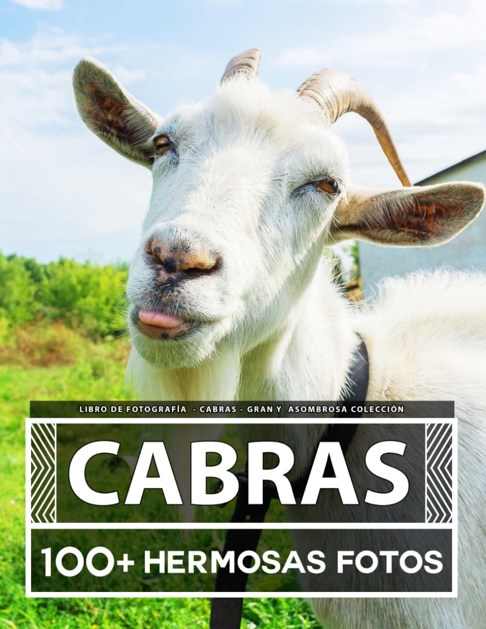 Libro De Fotografía - Cabras - Gran y Asombrosa Colección: 100 Hermosas Fotos En Este Fantástico Libro De Fotos De Cabras - Para Niños y Adultos