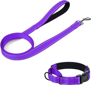 4FT x 3/4" Dog Leash and Collar 10-12" Reflective Soft Neoprene Martingale Dog Collars and Leashes for Dogs, Purple