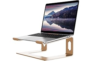 Detachable Gold Laptop Stand