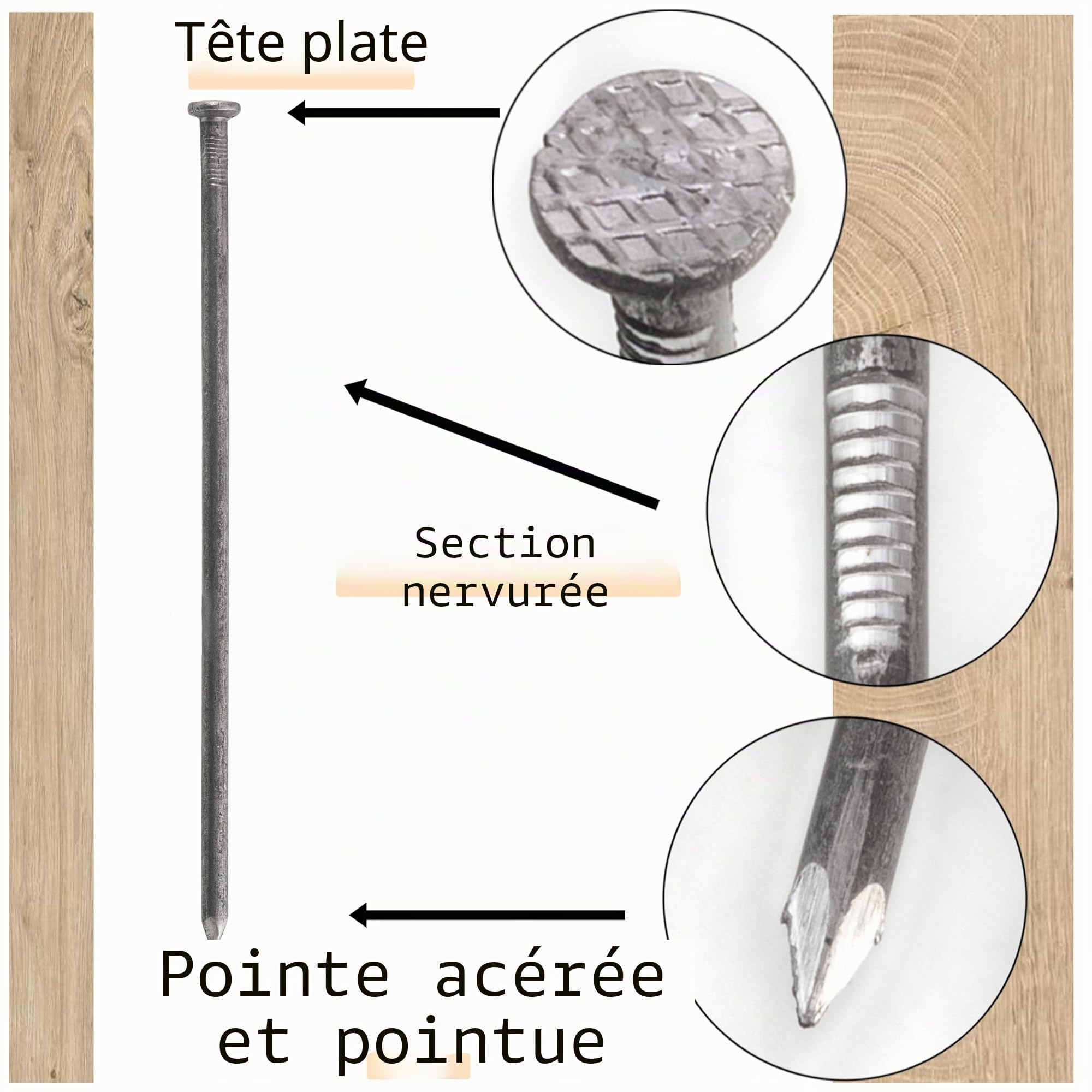 AERZETIX - C70867 - Lot de 50 Clous à tête plate Ø6x200 mm - diamètre de la tête Ø12 mm - en acier - couleur argent - rembourrage bardage menuiserie