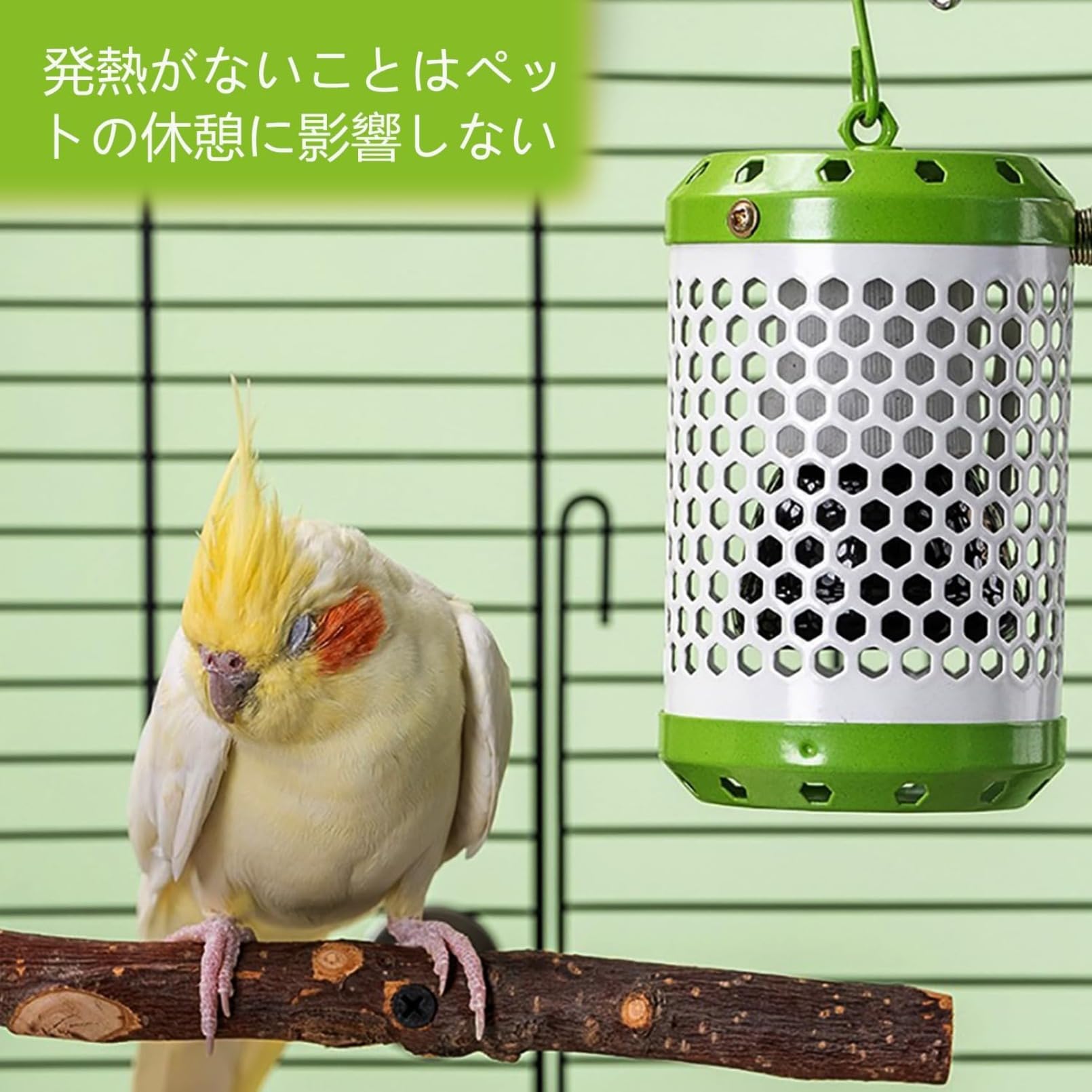 Amazon | Niuoyrd 保温電球カバー付 100W鳥 ヒーター インコ