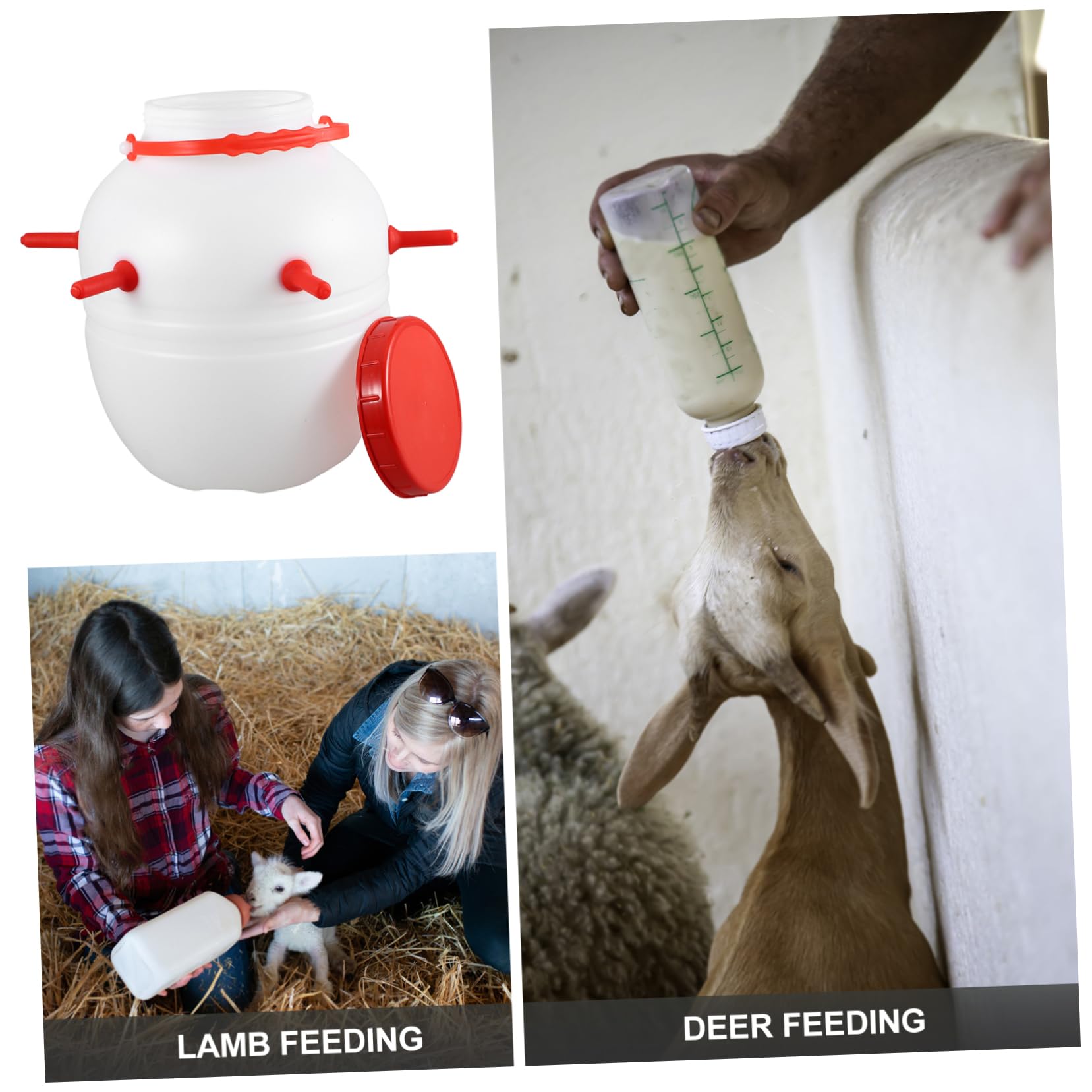 Biberon per agnelli, Biberon for agnello da 8 litri in silicone bianco con 8 capezzoli