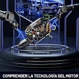 Ver la foto 5