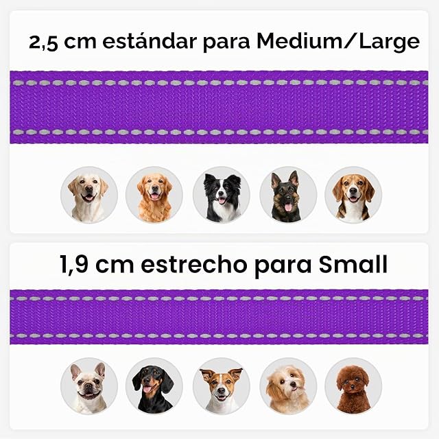 Foto 6 de 6 de Joytale Correa para Perro Reflectante de Doble Cara, Correa para Perros con Mango Acolchado