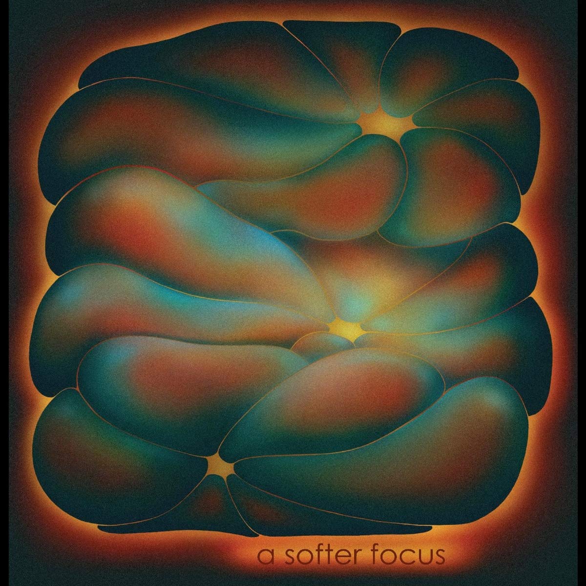 A Softer Focus [VINYL]