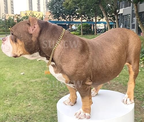 Miniatura 2 de SUNEW Collar para caminar con diseño de placa de identificación de perro con hebilla segura, collar de cadena de eslabones cubanos resistente a