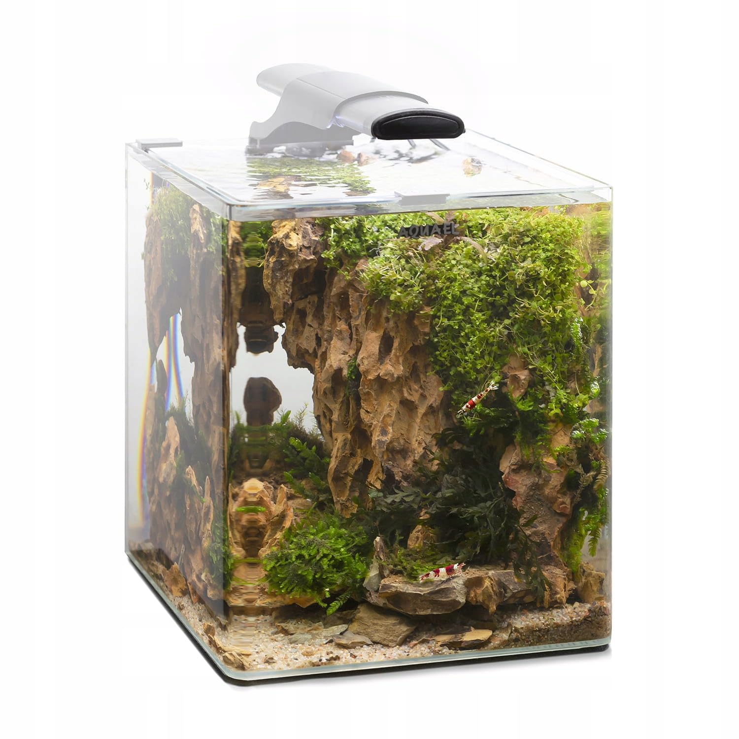 AQUAEL OptiBent - Juego de Acuario con Accesorios, 20 cm, Color Blanco, 25 x 25 x 30 x 19 l, de Cristal Extra Claro