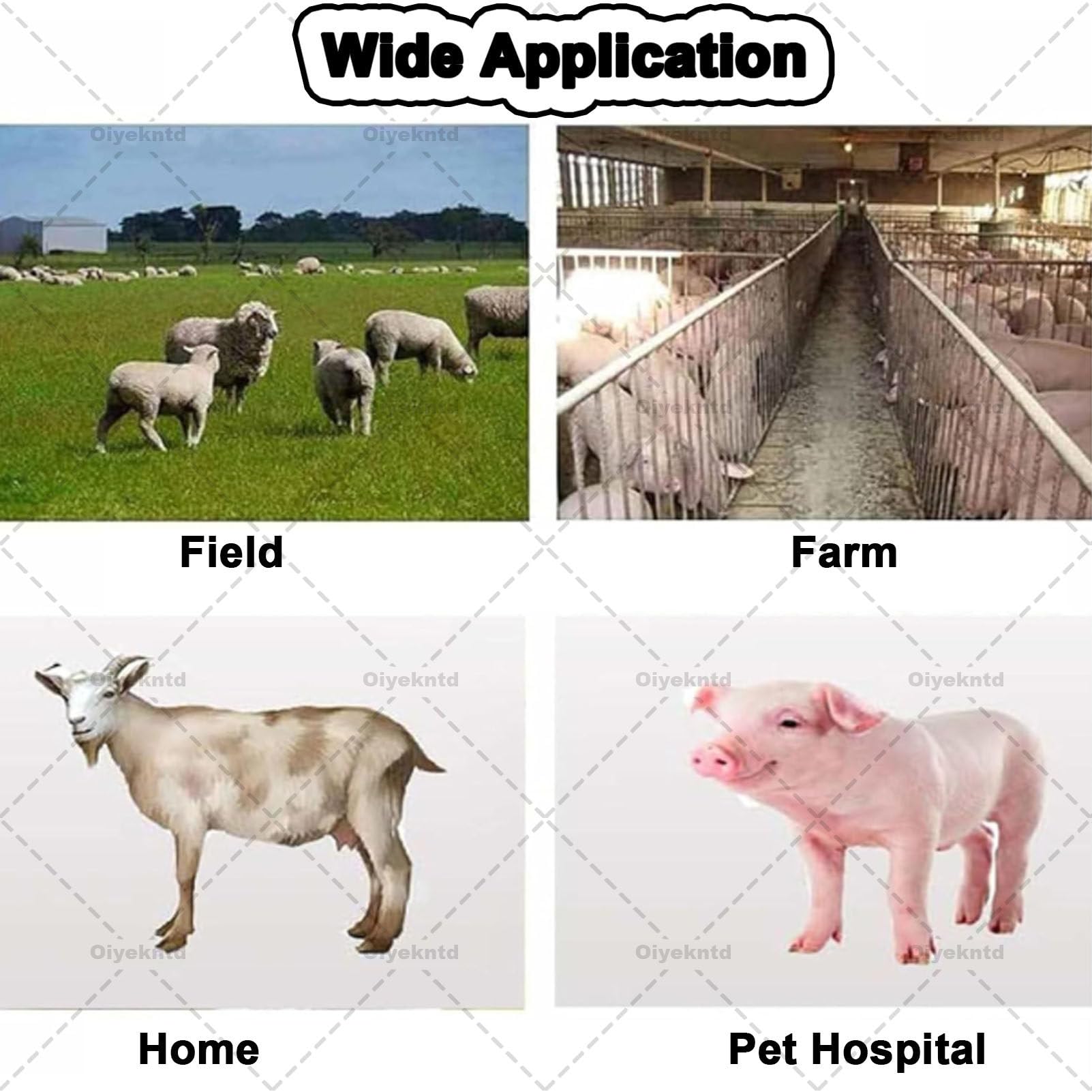 Scanner Portatile per Animali B-Ultrasound, Macchina per ecografia diagnostica veterinaria in Gravidanza con sonda Convessa da 3,5 MHz per Pecore, Cani, Gatti e maiali