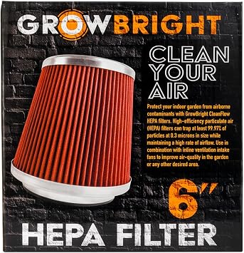 6-Inch CleanFlow HEPA Filter