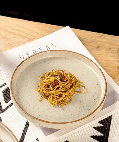 Miniatura 5 de Jantao - Plato de ensalada circular de cerámica hecho a mano, juego de 4 piezas de vajilla esmaltada mate de 8.26 pulgadas, aperitivos de cocina,