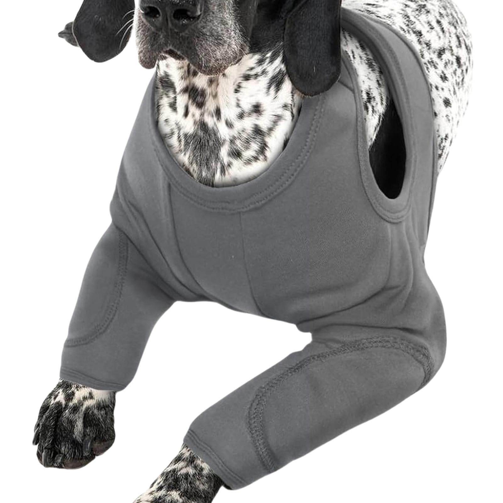 Manchon de jambe pour chien de taille moyenne avec coussin de protection des coudes