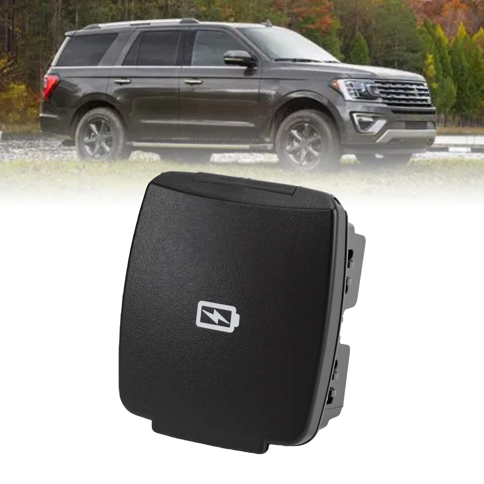 Dual USB Port Cover for Models 2016-2020