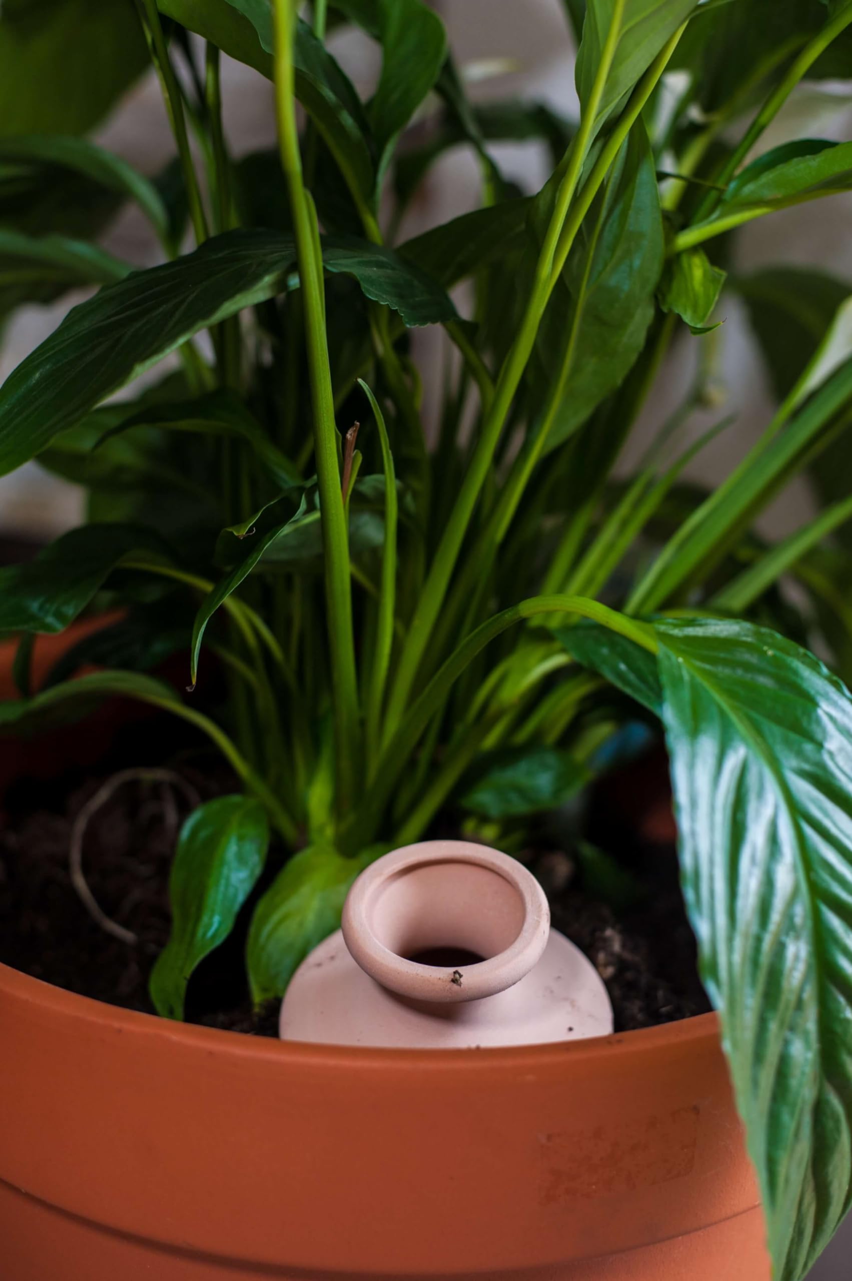 3 Oyas à Enterrer 500 ML en Terre Cuite Naturelle avec Couvercle – Arrosage Automatique Écologique pour Plantes d’Intérieur et d’Extérieur – Autonomie Jusqu’à 1 à 2 Semaines