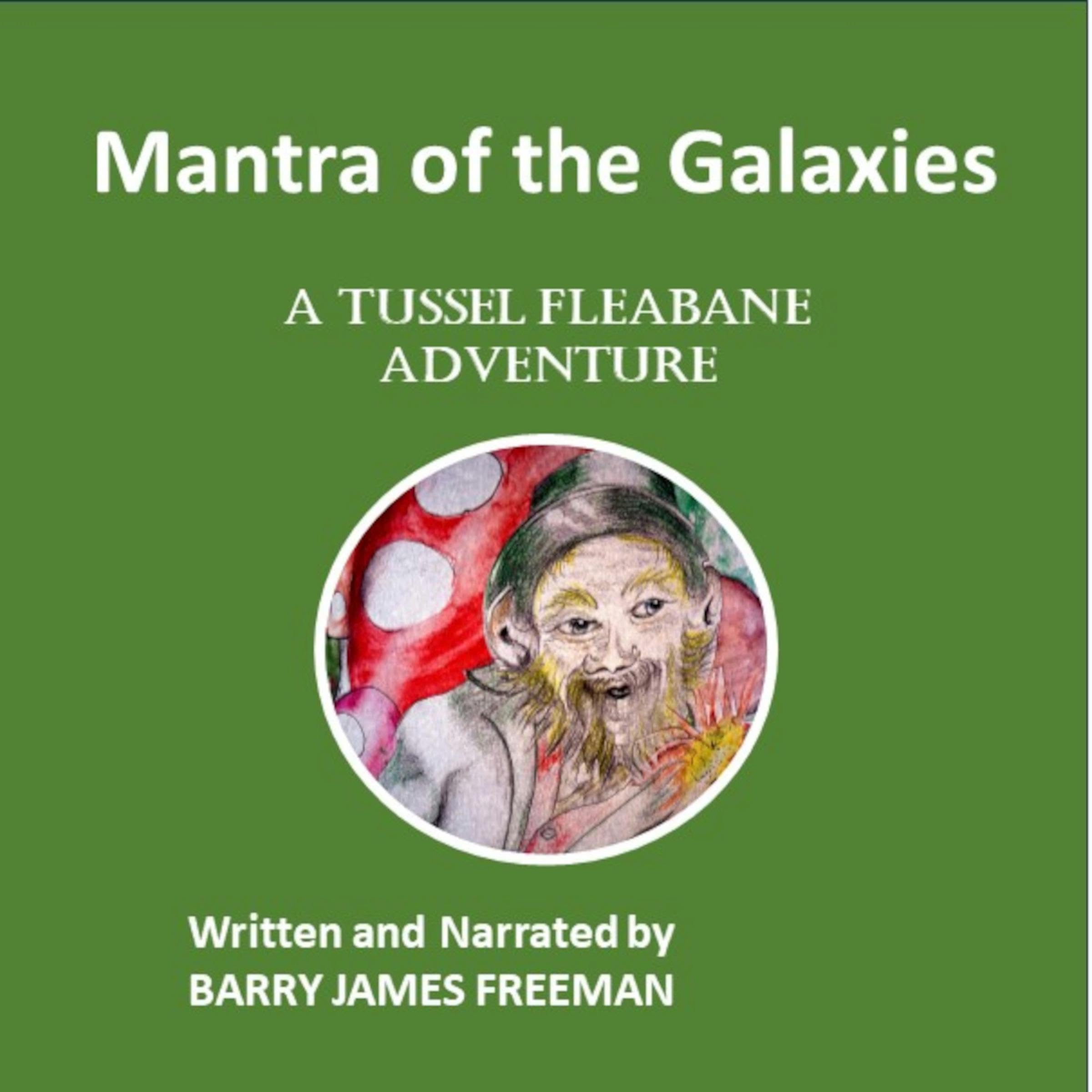 Cover art for Mantra of the Galaxies