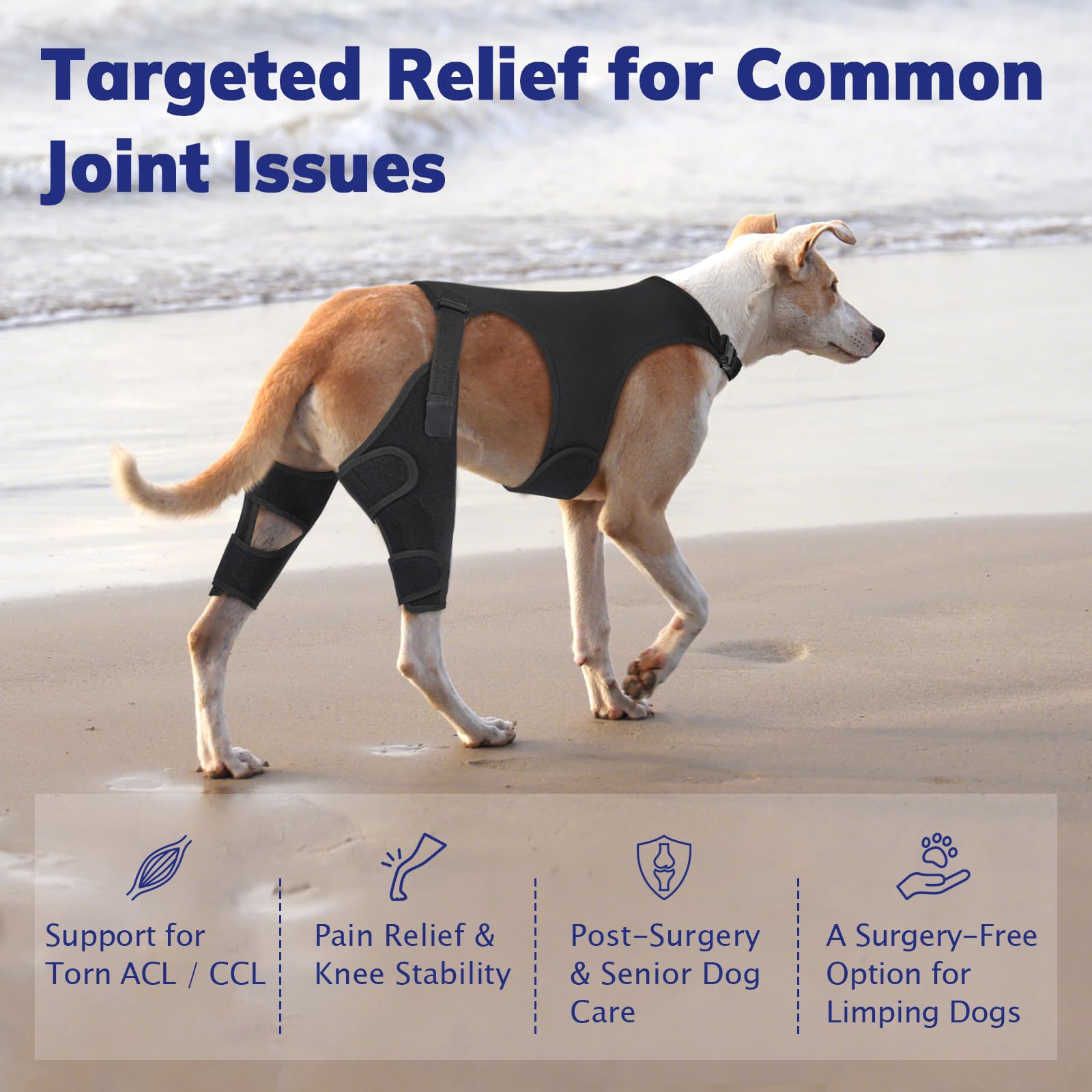 Rodillera para perros con osteoartritis, rótula luxante, displasia de cadera y LCC, S y 2