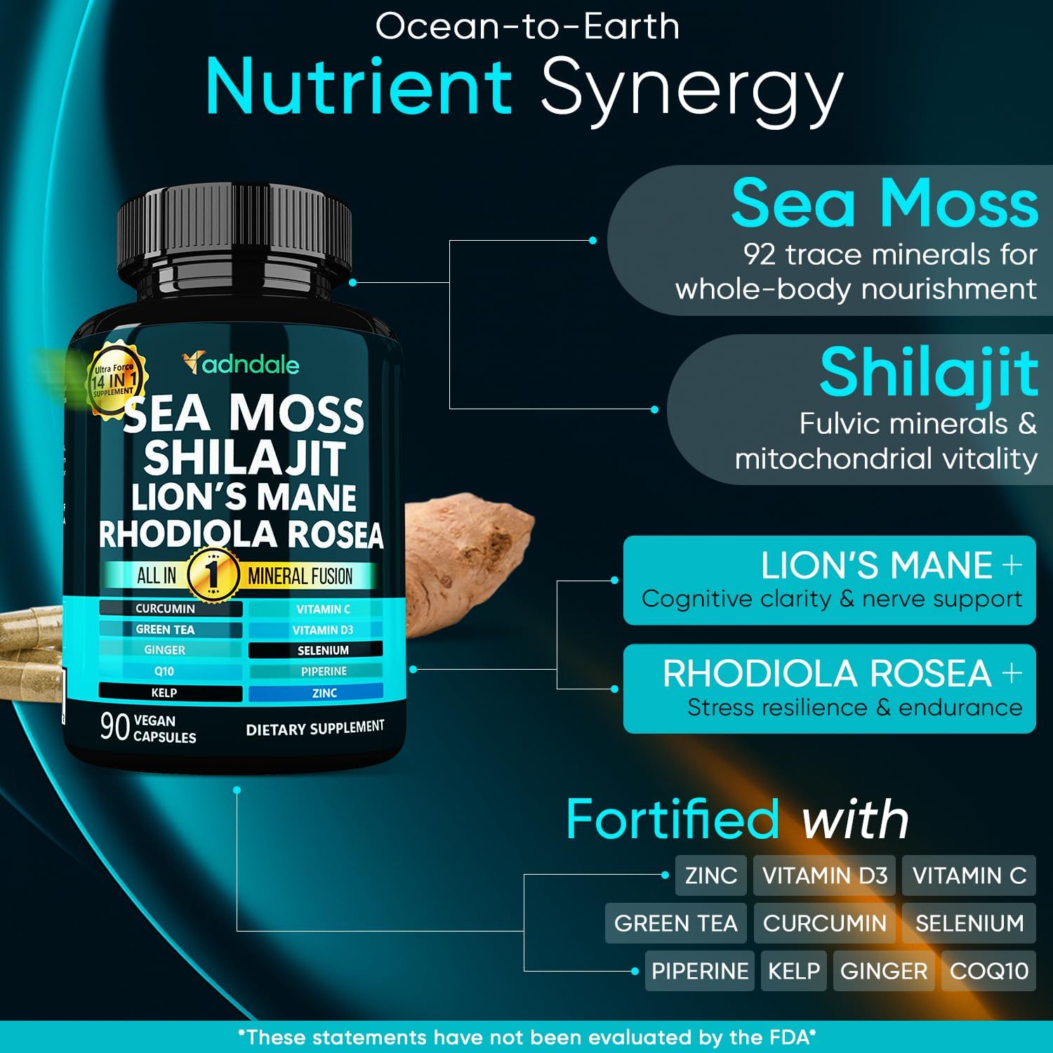 Adndale True Sea Moss Capsules. Seamoss Shilajit for Men and Women Supplement with Lion's Mane, Rhodiola Rosea, CoQ10. 90 Count - Image 2