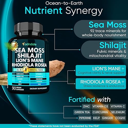 Miniatura 2 de Adndale Cápsulas de musgo marino verdadero. Shilajit para hombres y mujeres Suplemento con melena de león, Rhodiola Rosea, CoQ10-90 unidades