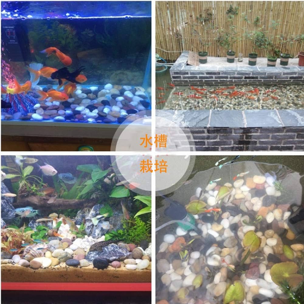 砂利 水槽用 自然玉 底砂 石 4~6cm 彩り石 天然五色石 鑑賞 約1kg Amazon.co.jp: 砂利 水槽用 自然玉 底砂 人気の アクアリウム 石