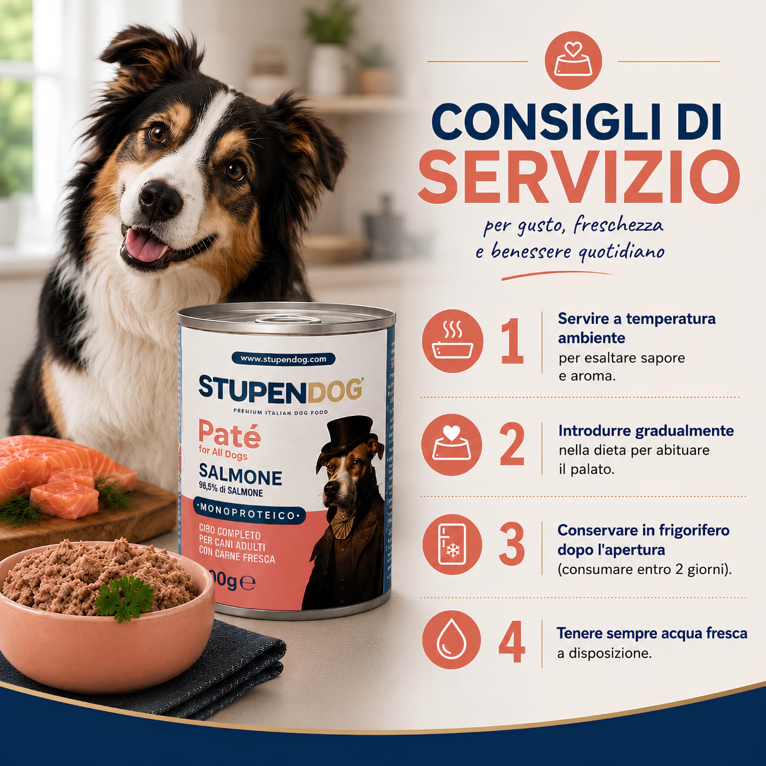 STUPENDOG Paté per Cani Monoproteico al Salmone con Semi di Lino - 98,5% Salmone Fresco, Ipoallergenico, Pelo Lucido, Pelle Sana – Cibo Umido Naturale per Cane Adulto (12 Confezioni - 400g)