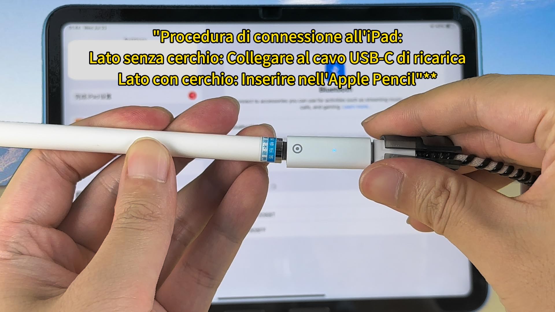 Adattatore Apple Pencil Lightning Femmina a USB-C Femmina 2pack per iPad 1st Gen Penna Ricarica
