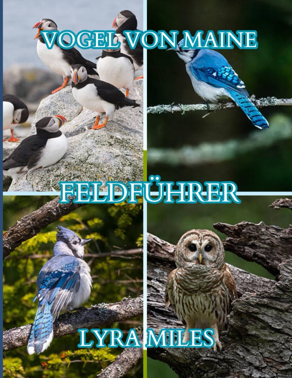 Vogel von MaineFeldführer: Maines Vögel: Der vollständige Feldbegleiter für Vogelbeobachter, Anfänger und Experten