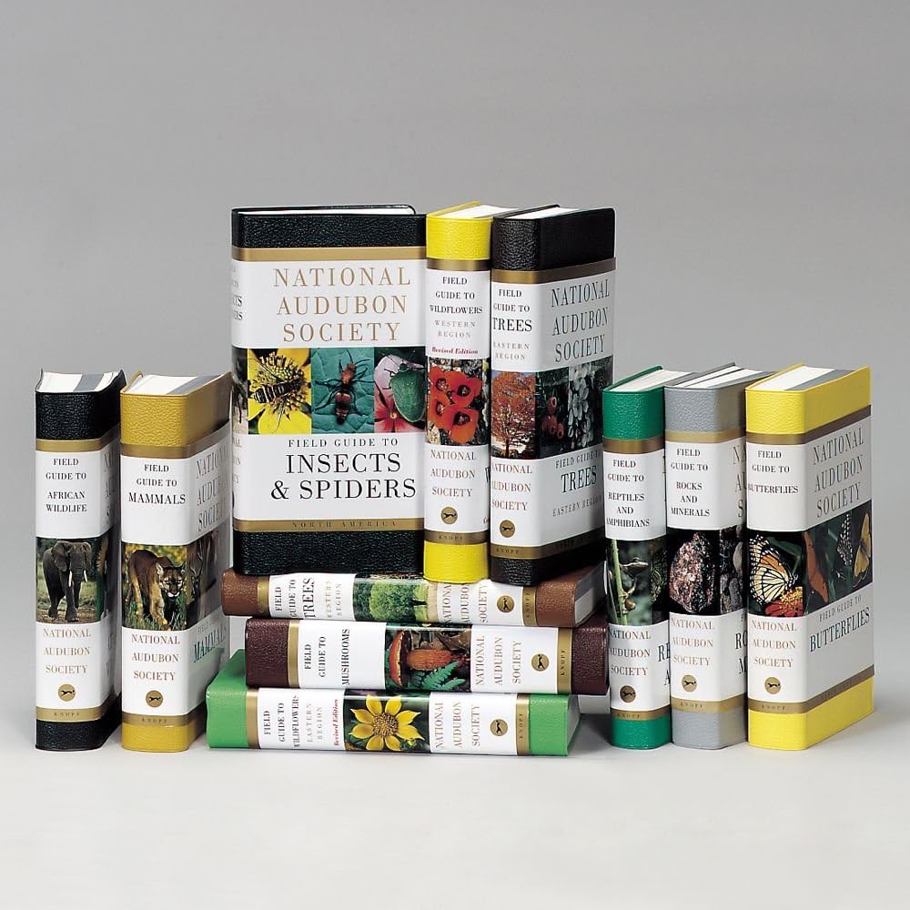 Eastern Birds, National Audubon Society North American Field Guide