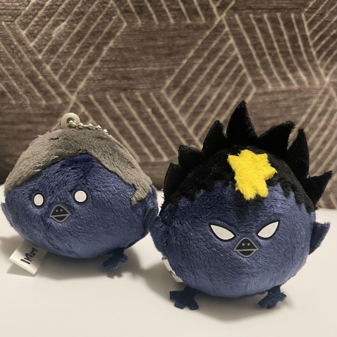 ハイキュー ヒナガラスのたまご 雑貨 全10種セット 「ハイキュー